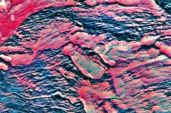 AP 116A
